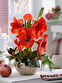 Hippeastrum 'Royal Red' in silver planter, wreath of Ilex