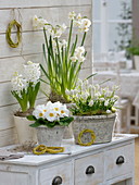 White spring arrangement