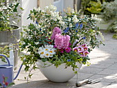 White spring bowl with Pieris japonica (bunch heather), Hyacinthus