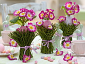 Easter table decoration with pink primroses and blueberry branches