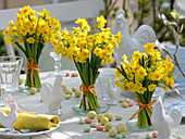 Fragrant table decoration with Tazett daffodil