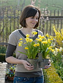 Woman holding metal double pot with Narcissus 'Tete a Tete'
