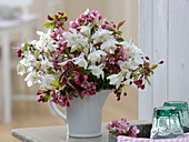 Bouquet of Malus and Aquilegia in white jug
