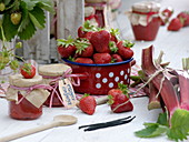 Frisch geerntete Erdbeeren (Fragaria ananassa) und Rhabarber (Rheum)