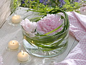 Glasschale mit Paeonia (Pfingstrosen - Blüten) in Spartina (Goldleistengras)