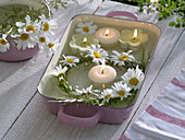 Small wreath of Leucanthemum, grasses and floating candles