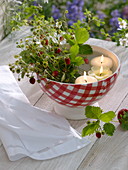 Wild strawberries (Fragaria vesca) with floating candles