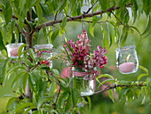 Small lupine bouquet in glass hanged on tree