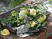 Rose, valerian, coriander, chamomile