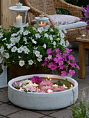 Flowers and floating candles in a wide shell