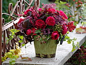 Red early-spring bouquet, pink 'Red Leonardo Da Vinci'