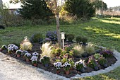 Plant perennial flowerbed with grasses and tulip bulbs