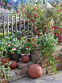Art garden, fuchsias on the fence