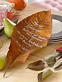 Menu card written on an autumn leaf, pumpkin, pears