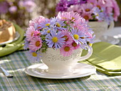 Small autumn bouquet of aster (autumn aster) in cup