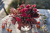 Überfrorener Strauß aus roten Rosa (Rosen, Hagebutten), Acer