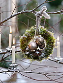 Snowy wreath of moss, decorated with Pinus cones