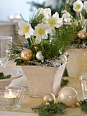 Christmas roses table decoration