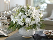 White, fragrant Christmas bouquet from Narcissus 'Ziva', Pinus