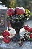 Pokal mit gefrosteten Äpfeln (Malus), Kranz aus Buxus (Buchs)