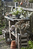 Working table at the fence in the cottage garden with Amelanchier bouquets
