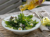 Salat mit Wildkräutern: Bellis (Gänseblümchen), Primula (Schlüsselblume)