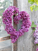 Heart from Syringa (lilac)