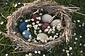 Color Easter eggs naturally