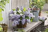 Syringa vulgaris (lilac) bouquet in wicker vase