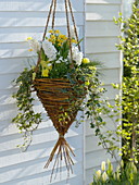 Self made hanging basket with spring flowers