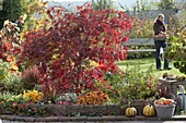 Herbstliches Terrassenbeet mit Einfasssungen aus Weidengeflecht