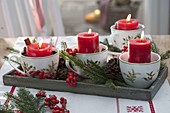 Fast Advent wreath in Christmas cups with red candles, Picea