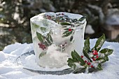 Self made ice lanternt with frozen leaves and berries of Ilex