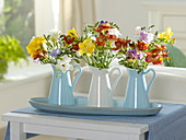 Small colorful freesia bouquets in enameled pitchers