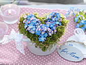 Moss heart with forget-me-not