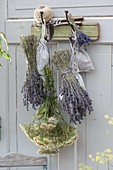 Bouquets of Lavender (Lavandula) and Achillea (Yarrow)