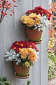 Hand-made wall hanging pots with chrysanthemum