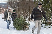 Family brings Christmas tree by sledge