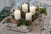 Advent wreath with Picea cones, Larix and twigs