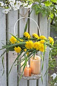 Lantern with wreath of grasses and Taraxacum (dandelion)