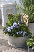 Zinc tub with herbs and edible flowers