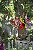 Colourful bouquet of gladiolus (gladioli) in basket vase under the apple tree