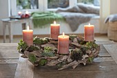Advent driftwood wreath with Sempervivum