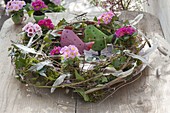 Wreath of clematis, hedera and moss, primula acaulis