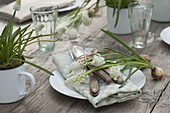 Table decoration with Muscari botyoides 'Album' (Grape Hyacinth)