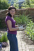 Woman with young onions (Allium cepa) plants in wooden box