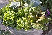 Zinc tub with salad 'Trout' right, 'Till' center and Salanova