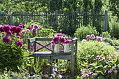 Romantic seat in the perennial garden