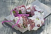 Rosa-weisses Kränzchen aus Blüten von Hydrangea (Hortensien)