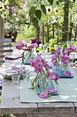 Tischdeko mit pinken Blüten von Gladiolus (Gladiolen) in Gläsern